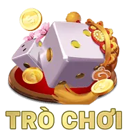 Thông tin chính chủ